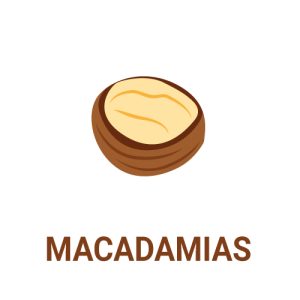 macadamias