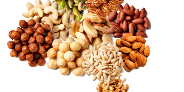 nuts-and-brain-health3